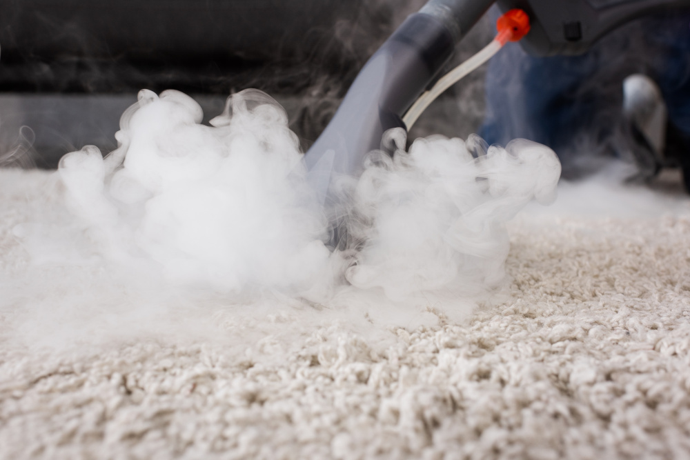 Carpet Steam Cleaning