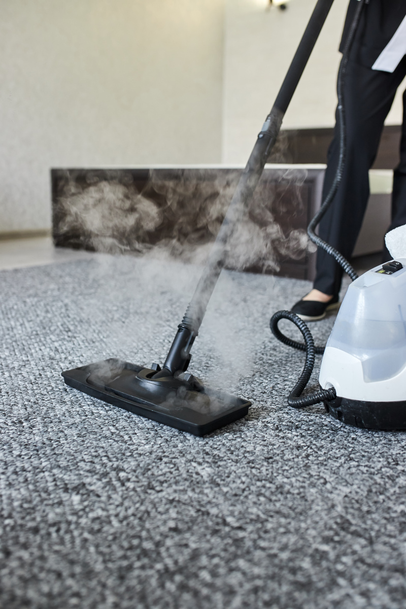 Carpet Cleaning for Pets